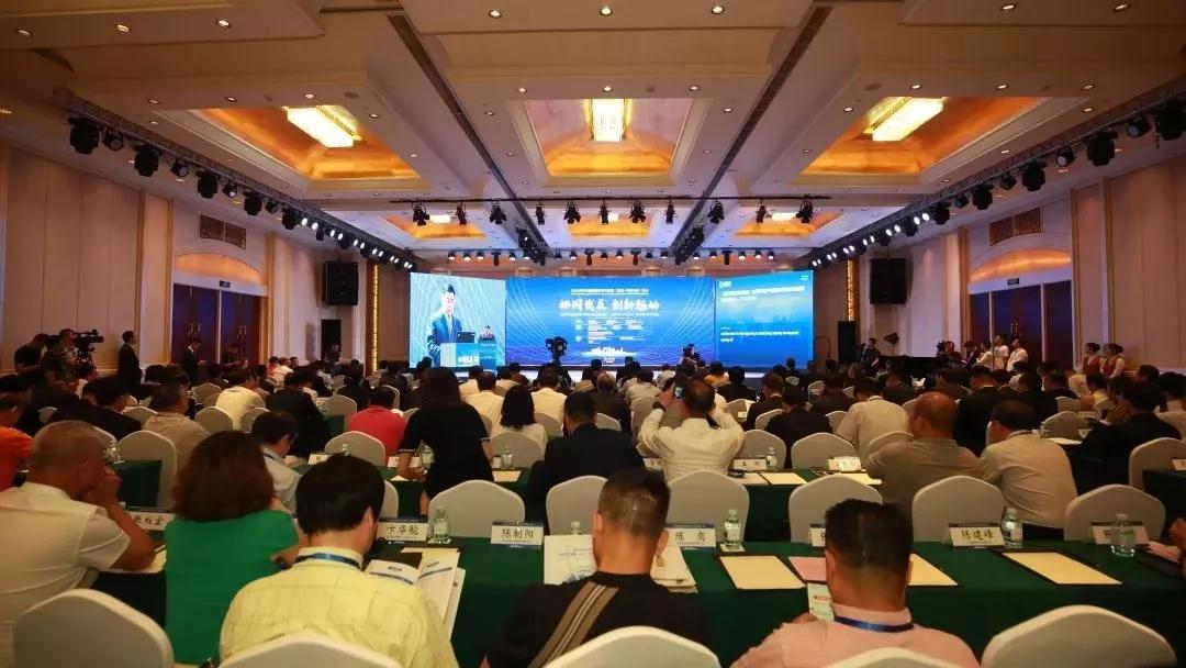 1565338371540294.jpg 1.jpg